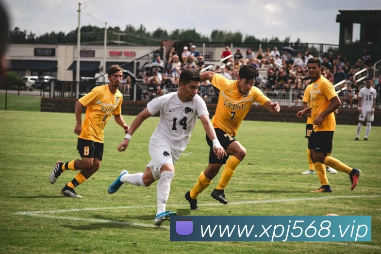 体育直播服务